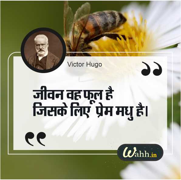 Catchy Flower Captions In Hindi