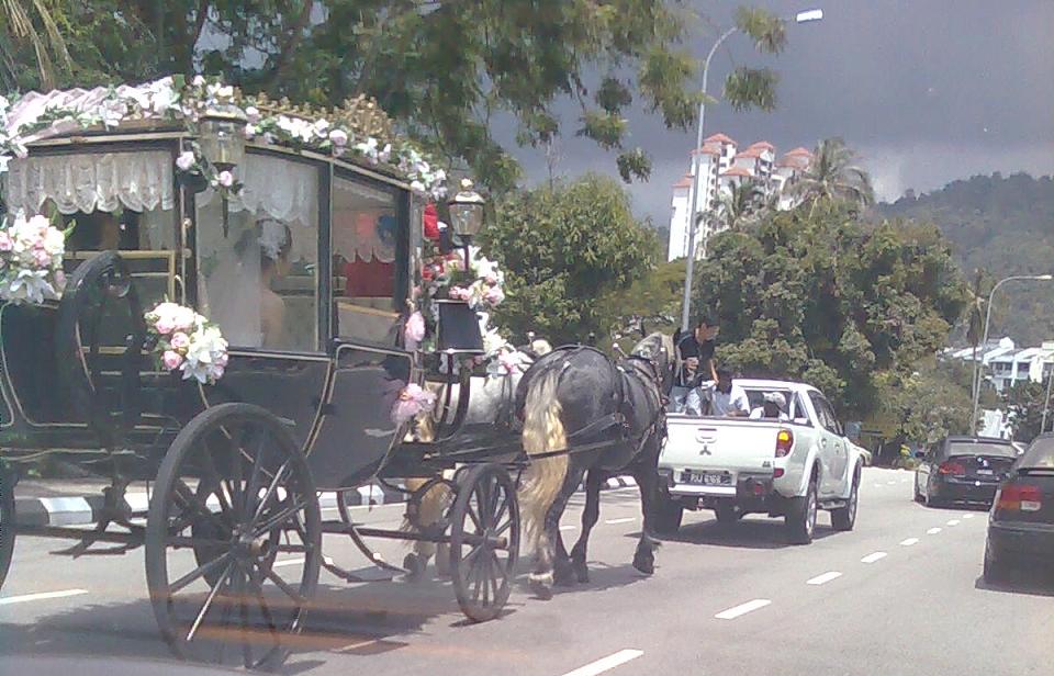 It is my first time seeing a carriage wedding