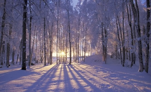 Winter Evening