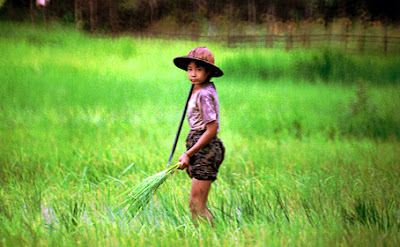 Children in the delta doing rice planting