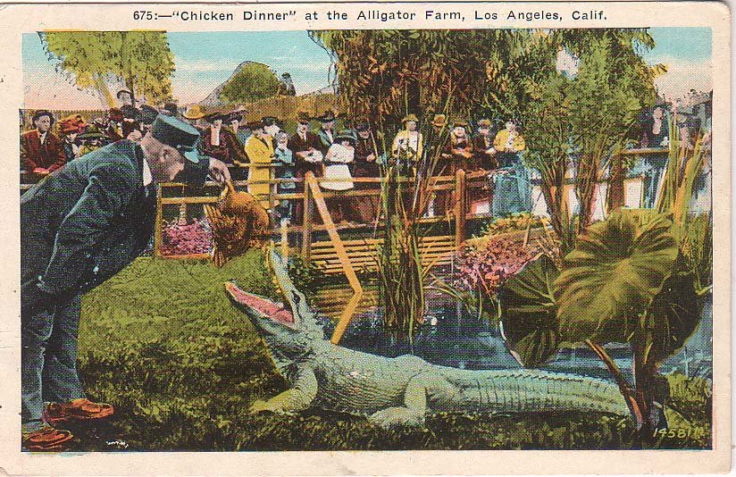 Edible Zookeeper Vintage Postcard