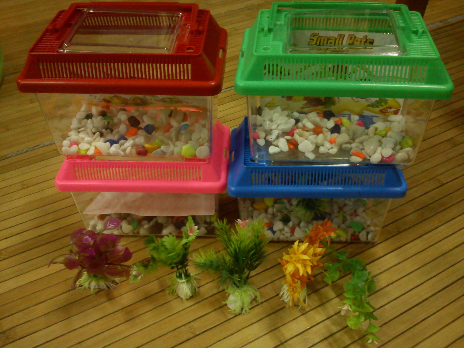 ZR AQUARIUM  PETS TRADING AQUARIUM  PETAK PLASTIK  KECIL
