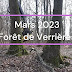 Coupes de bois : mars 2023