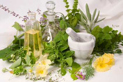 Tanaman Herbal Ini Dapat Mengobati Penyakit Jantung Koroner