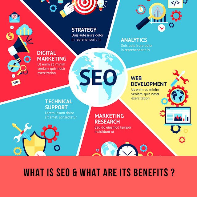 SEO digital marketing Pakistan important for your business