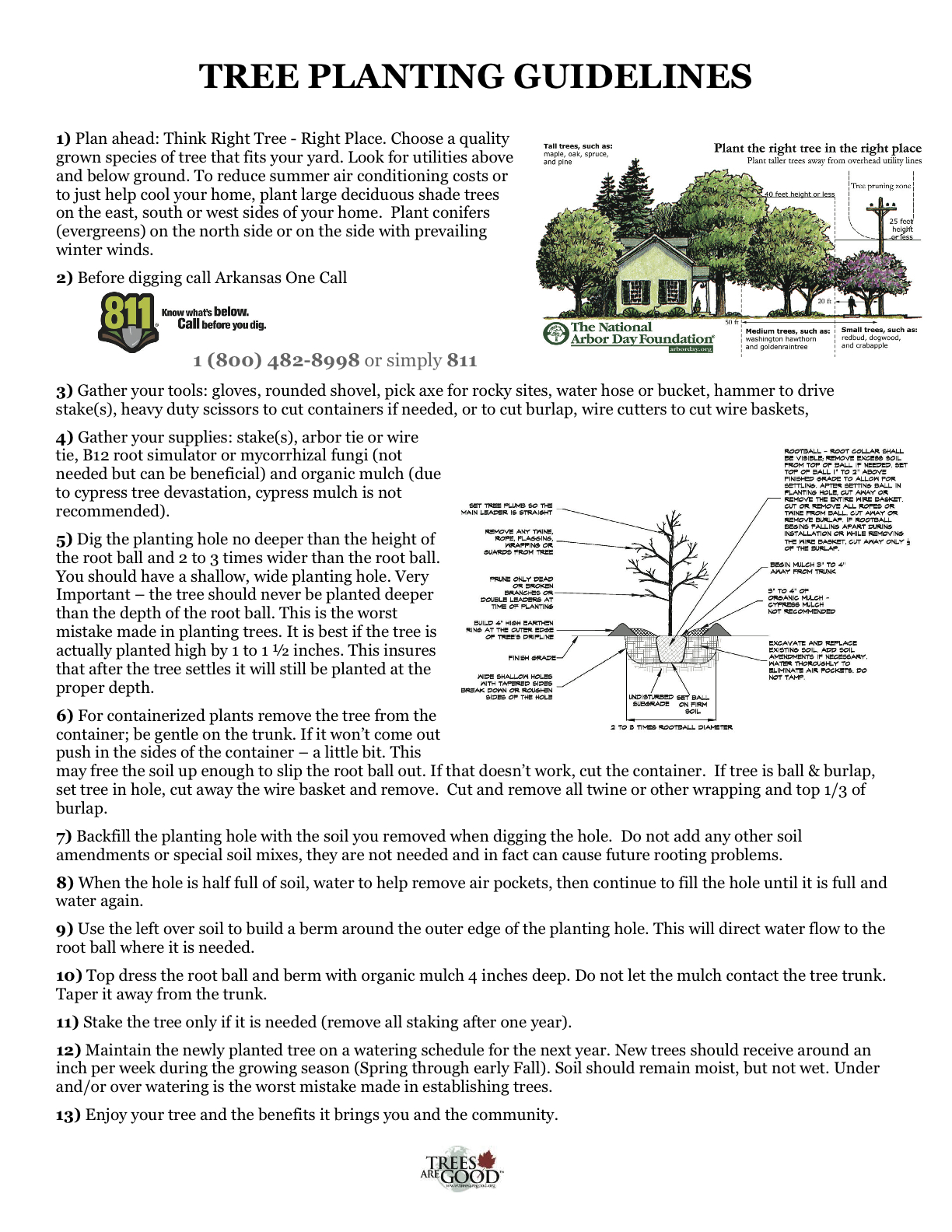 Dogwood Tree Facts