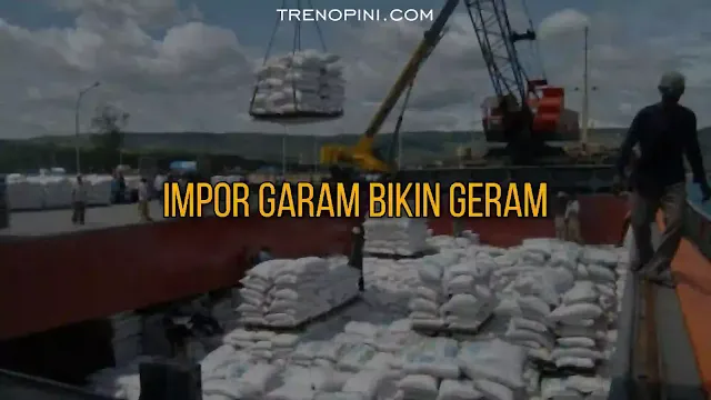 Janji Presiden Jokowi tentang swasembada pangan bak omong kosong belaka. Pasalnya, dua bulan usai dilantik menjadi presiden, Jokowi pernah berjanji akan memenuhi semua yang dibutuhkan untuk program swasembada pangan. Ia juga mencanangkan Program Strategis Nasional (PSN) food estate menuju swasembada pangan dan rencana Pemulihan Ekonomi Nasional (PEN). Namun, kebijakan yang lahir justru sangat bertolak belakang dari janji dan program-program tersebut.