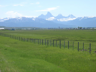 western wood projects jackson wy