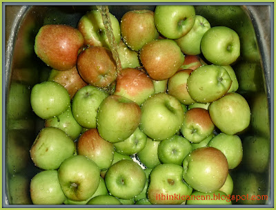 {I Think I Can} Canned Apple Pie Filling