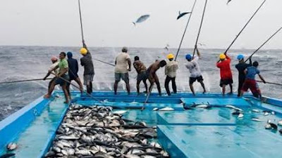 Nelayan Natuna Keluhkan Nelayan China