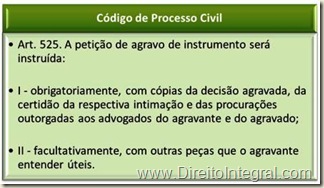 Art. 525. A petição de agravo de instrumento será instruída: I - obrigatoriamente, com cópias da decisão agravada, da certidão da respectiva intimação e das procurações outorgadas aos advogados do agravante e do agravado; II - facultativamente, com outras peças que o agravante entender úteis.