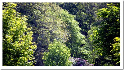 31 May 10