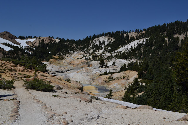 Bumpass Hell surrounded by green forest