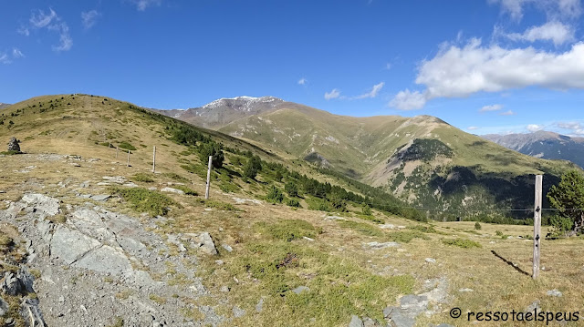 El Puigmal des del collet de les Barraques