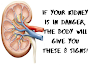  In the event that Your Kidney Is in Danger, the Body Will Give You These 8 Signs!