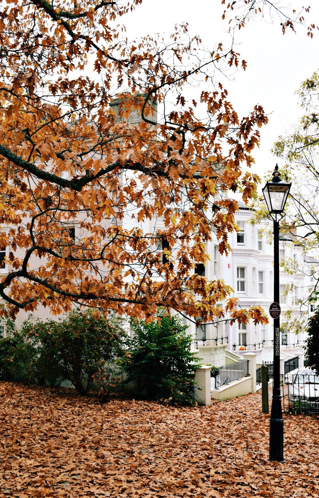 london lifestyle blog tunbridge wells