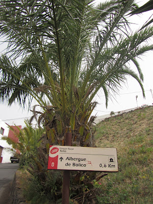 ALBERGUE DE BOLICO (LAS PORTELAS) - CASAS DE LA CUMBRE - LOS BAILADEROS (TENO ALTO) - EL PALMAR - LAS PORTELAS - ALBERGUE DE BOLICO, señal del Albergue de Bolico