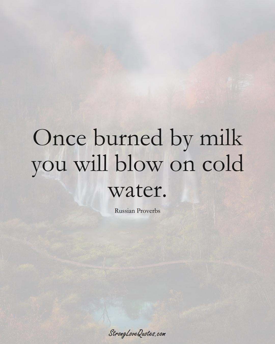 Once burned by milk you will blow on cold water. (Russian Sayings);  #AsianSayings