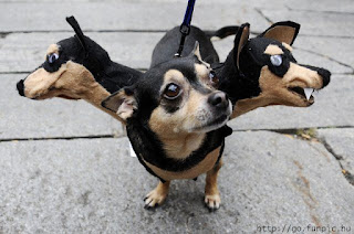 3 Headed Dog Costume