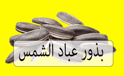 الاغذية الغنية بالدهون الصحية