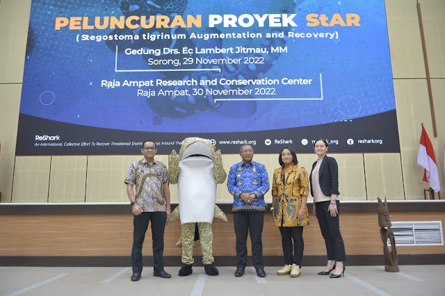 Proyek Repopulasi Hiu Belimbing Resmi  Diluncurkan 