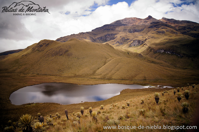 Nevado del Tolima