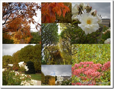 couleurs du jardin des plantes