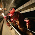 Namibia suspends poultry imports from South Africa over bird flu