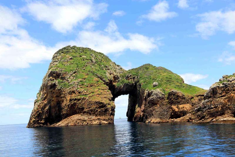 Islands in New Zealand