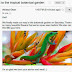 Gmail now automatically displays images, helps attacker to know when you open the mail