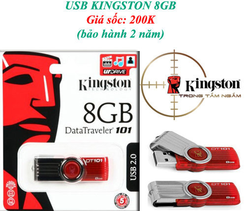 USB KINGSTON 8G FPT