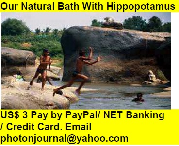  Our Natural Bath With Hippopotamus Book Store Hyatt Book Store Amazon Books eBay Book  Book Store Book Fair Book Exhibition Sell your Book Book Copyright Book Royalty Book ISBN Book Barcode How to Self Book 