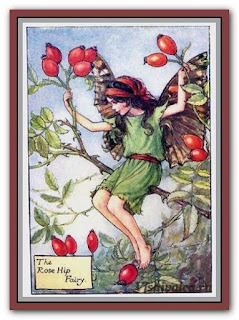 Download cross stitch scheme «Rose hip - artwork by Cicely Mary Barker»
