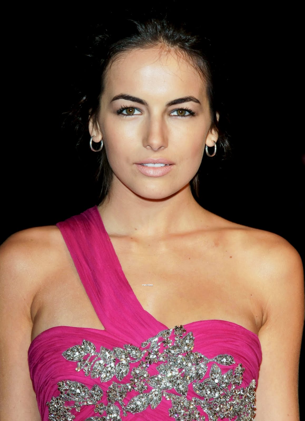 Camilla Belle Hairstyles Pictures, Long Hairstyle 2011, Hairstyle 2011, New Long Hairstyle 2011, Celebrity Long Hairstyles 2118