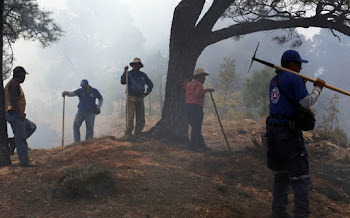 Incendio en Tepoztlán genera conflicto entre gobernador y alcalde
