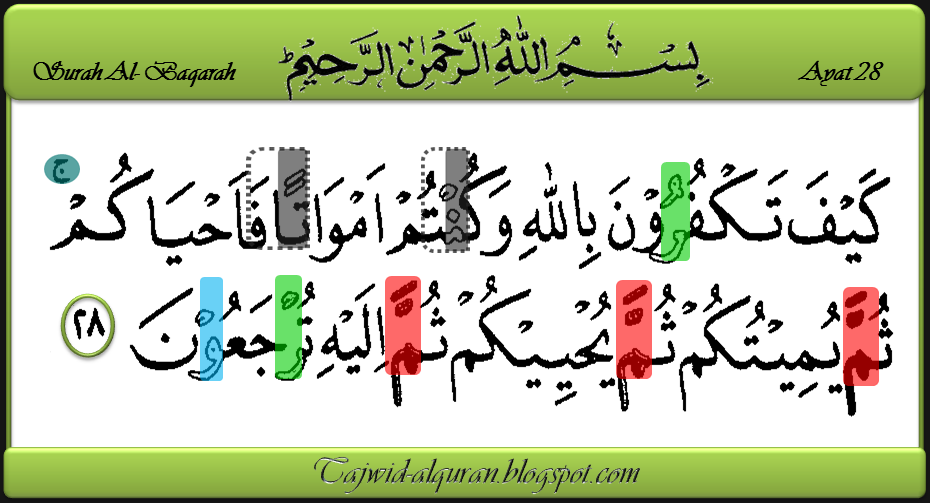 mari belajar tajwid alquran: Surah Al- Baqarah ayat 28