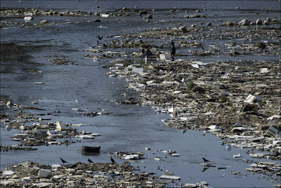 danger polluted water, polluted water, water pollution, drink polluted water, polluted water in africa, polluted water in china, polluted water can kill fish