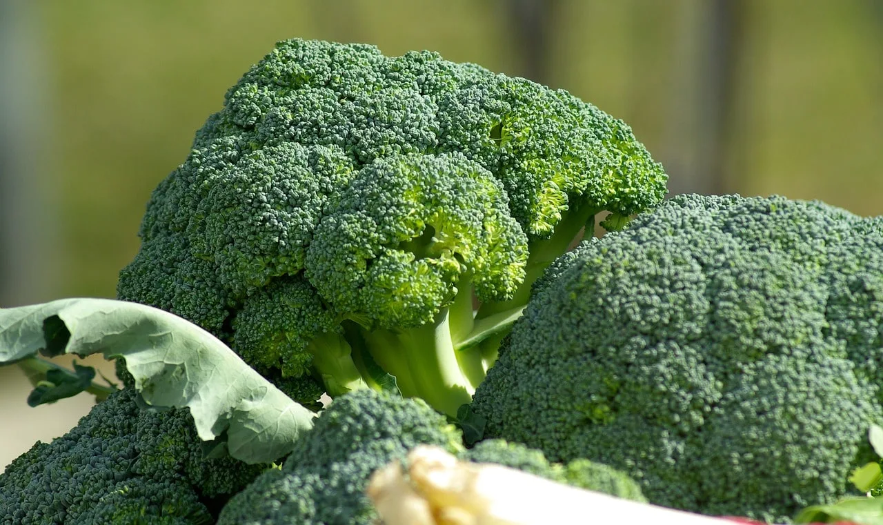 5 fakta unik tentang brokoli