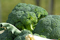 5 fakta unik tentang brokoli