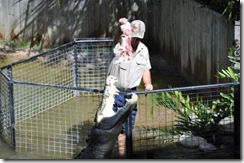 croc