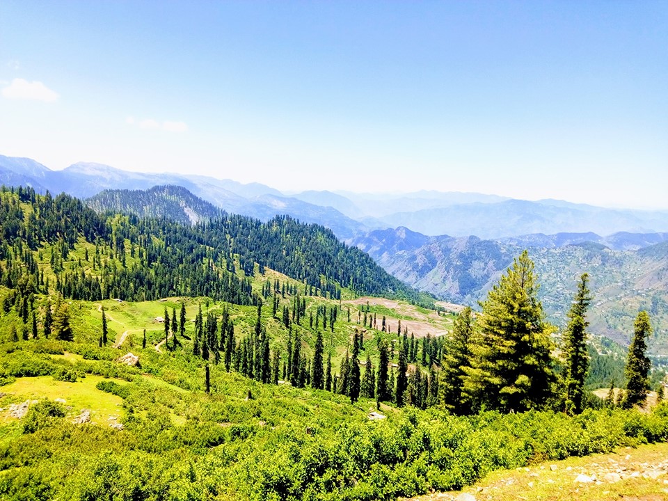 Gantar valley Allai valley. Gantar valley meadows. Travel Allai valley Battagram. Allai valley Picture. beautiful valley in Khyber Pakhtunkhwa