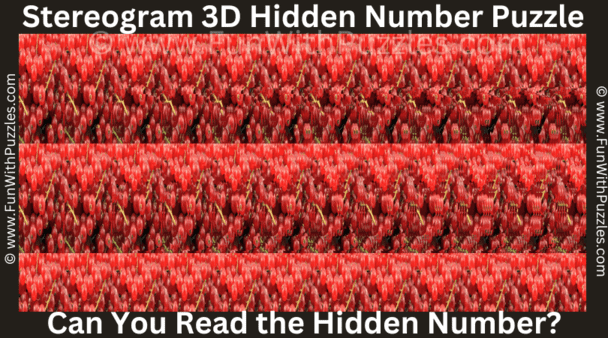 4. Challenging Stereogram Puzzle: Can you Read Hidden Number?