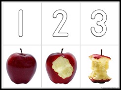 Slide11