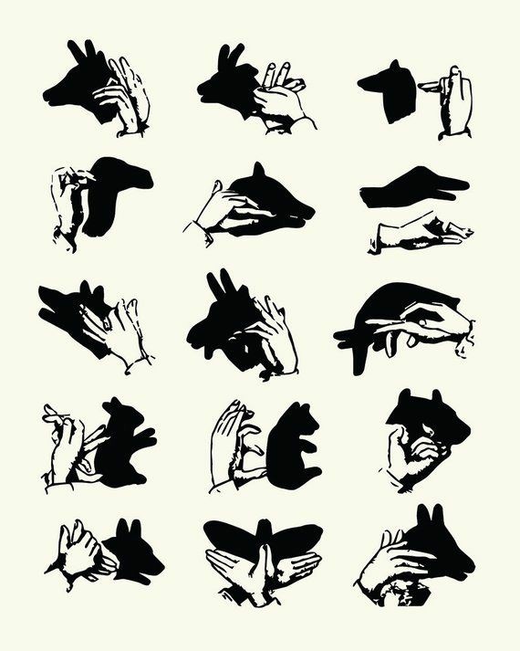 Meniru bentuk  hewan  dengan jari tangan Rifqi Kaligrafi
