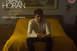 Niall Horan – Too Much To Ask (Cedric Gervais Remix) – Single 