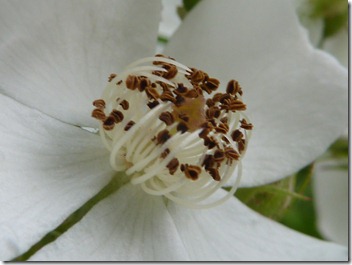 P1090655