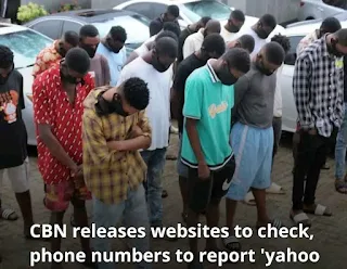 CBN Provides Hotlines and Websites to Combat Illegal Financial Activities