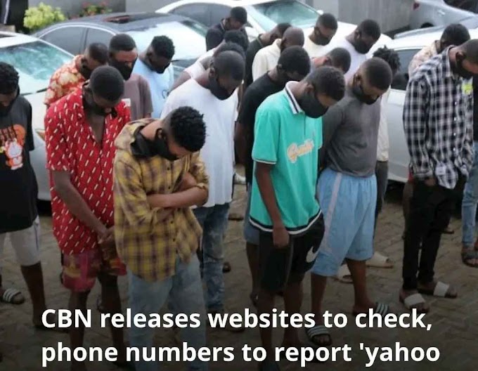 CBN Provides Hotlines and Websites to Combat Illegal Financial Activities