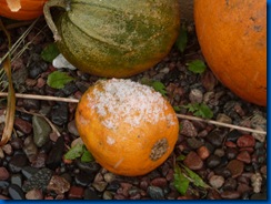 blog10.12 006