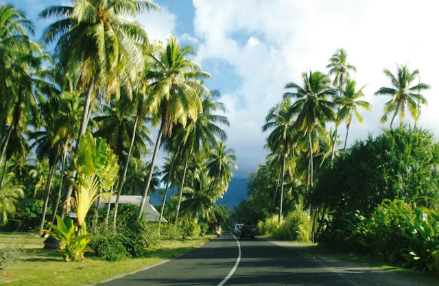 estrada foto ilha